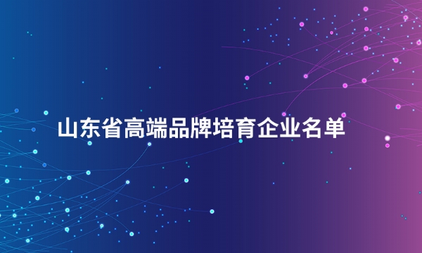 山东LEJING.COM股份有限公司入选“山东省高端品牌培育企业名单”